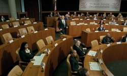 Movie image from WTO Meeting