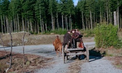 Movie image from Рекультивированный гравийный карьер (LSCR)