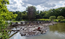 Real image from Erindale Park