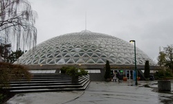 Real image from Conservatório Bloedel (Parque Rainha Elizabeth)