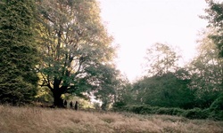 Movie image from Field near Lake  (Deer Lake Park)