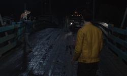 Movie image from Westham Island Bridge