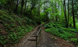 Real image from Bryne Creek Ravine Park