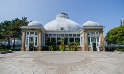 Real image from Allan Gardens