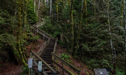 Real image from 30 Foot Pool  (Lynn Canyon Park)