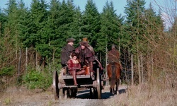 Movie image from Рекультивированный гравийный карьер (LSCR)