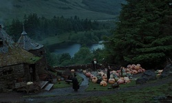 Movie image from Hagrid's Hut