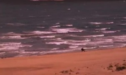 Movie image from Genoveses Beach