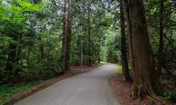 Real image from Bryne Creek Ravine Park