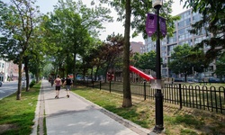 Real image from David Crombie Park