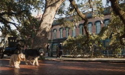 Movie image from Old Savannah Cotton Exchange