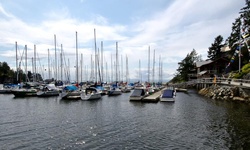 Real image from Untere Halbinsel Marina