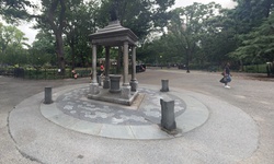 Real image from Parque Tompkins Square