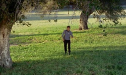 Movie image from Disney's Golden Oak Ranch