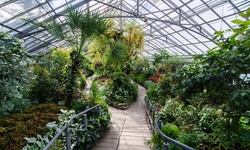 Real image from Allan Gardens