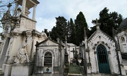 Real image from Cemetery Prazeres