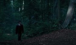 Movie image from Запретный лес