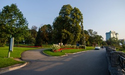 Real image from Pathway  (Queen Victoria Park)