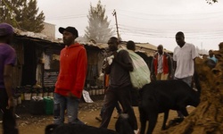 Movie image from Kibera House