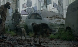 Movie image from Street in Quarantine Area