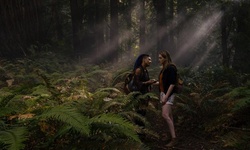 Movie image from Muir Woods National Monument
