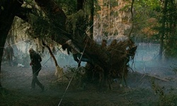 Movie image from Jungle