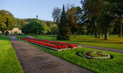 Real image from Pathway  (Queen Victoria Park)