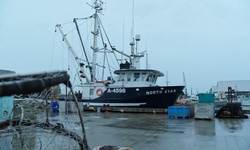 Movie image from Steveston Harbour