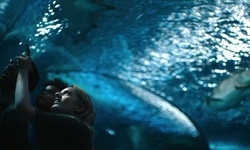 Movie image from Ripley's Aquarium of Canada