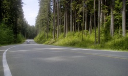 Movie image from Tum Tumay Whueton Drive  (Belcarra Regional Park)