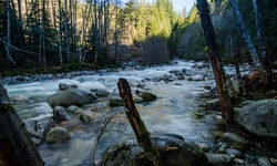 Real image from 30 Foot Pool  (Lynn Canyon Park)