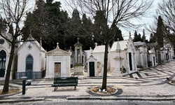 Real image from Cemetery Prazeres