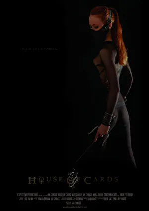 Poster House of Cards 2013
