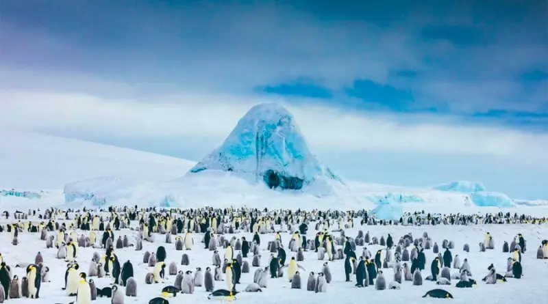 La belleza de las películas rodadas en la Antártida