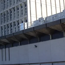 Зоологический музей Абердинского университета