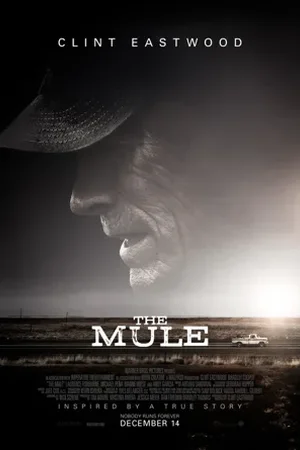 La mule