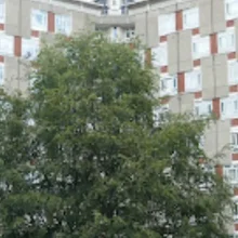 Дом Джеймса Хэмметта