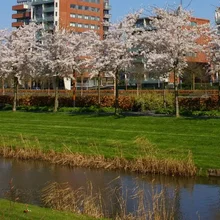 Amstelveen