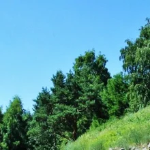 Петровский парк